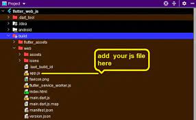 javascript file in flutter web