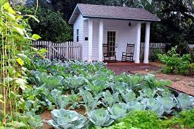 Fall Vegetable Gardens