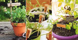 16 Clever Diy Plant Marker Ideas For