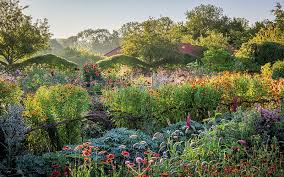Vibrant Garden At Perch Hill