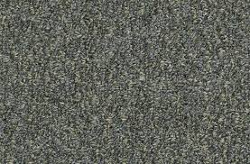 Shaw Gardenscape Outdoor Carpet Patio