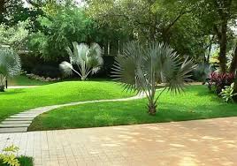 Landscape Garden Development Services