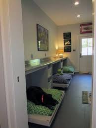 Dog Room Ideas