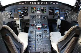 Do Pilot Seats Have Sheepskin Covers