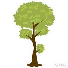 A Tropical Hardwood Teak Tree Icon