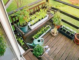 Practical Patio Vegetable Garden Ideas