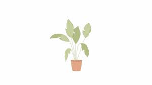 Plant Animation Stock Footage For