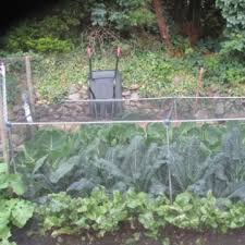 Vegetable Cages Garden Netting