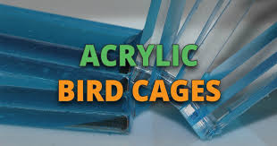 What Is The Best Acrylic Bird Cage For