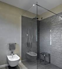 Showers For The Elderly