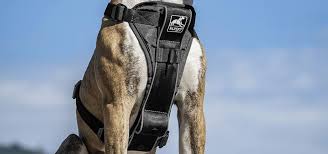 Kurgo Tru Fit Smart Dog Walking Harness