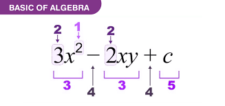 Basics Of Algebra Equations