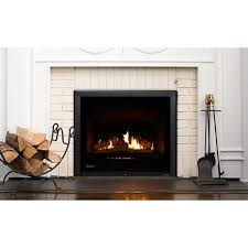 Rinnai 750 Gas Fireplace Home Fires