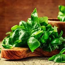 How To Grow An Indoor Herb Garden