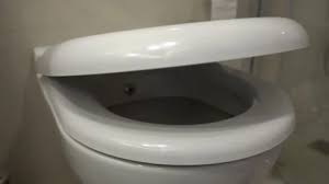 Toilet Bowl With Modern Automatic