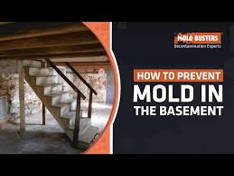 How To Prevent Mold In The Basement