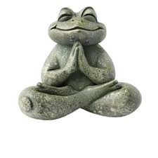Meditating Frog Png Transpa Images