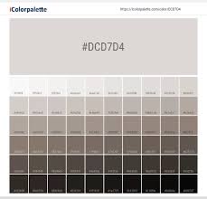 Pantone 13 0002 Tpx White Sand Color