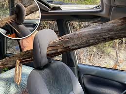 Tree Pierces Car Windscreen On K Gari