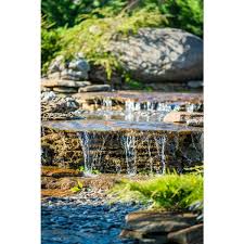 Water Garden Backyard Pond