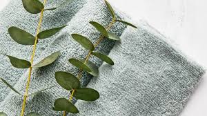 Eucalyptus Bouquet