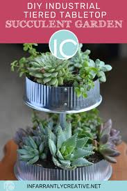 Industrial Tiered Tabletop Succulent