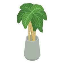 3d Plant Vector Art Icons And