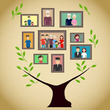 Family Tree Icon Images Browse 5