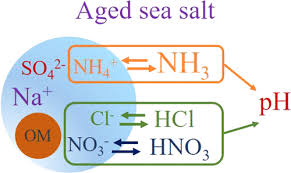 Acidity Of Size Resolved Sea Salt