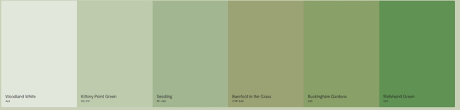 The Hottest Gray Green Paint Colors On