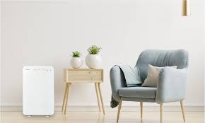 Standard Air Purifier 30 Type Up To 21