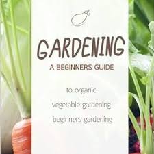A Beginners Guide To Organic Vegetable