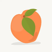 Apricot Outline Icon Stock Photos