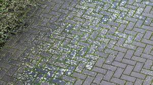 Savvy 29p Tip For Removing Paving Moss