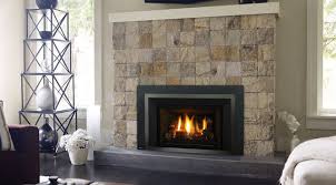 Regency Gas Fireplace Inserts Living