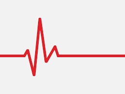 Watch Your Heart Rate But Don T Obsess