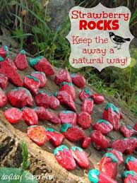 Painted Garden Rocks Scare Birds Away