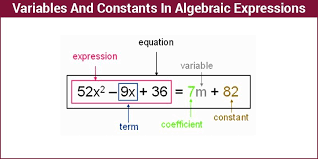 What Are Variables Constants Terms In