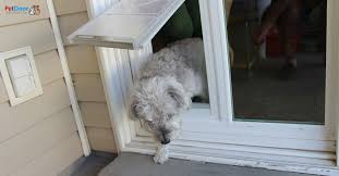 Sliding Glass Pet Door Utah Best Pet