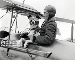 Dog Pilot Airplane Vintage Photo Print