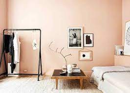 Peach Colour Paint Combination