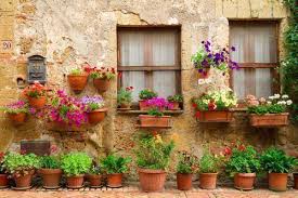18 Unique Flower Pot Design Ideas For