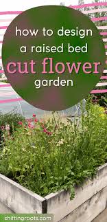 Cut Flower Garden In Raised Beds