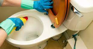 Removing Yellow Toilet Seat Stains