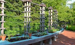 Raised Bed Trellis Ideas For Saving