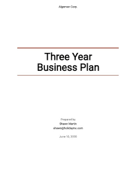 3 Year Business Plan 10 Examples