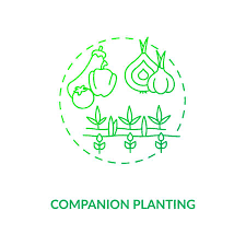 Companion Planting Concept Icon