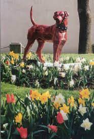Famous Dog Statue From 1889 Johnstown