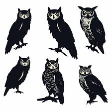 Great Horned Owl Silhouettewhite Background