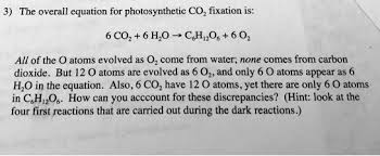 Photosynthetic Co2 Fixation